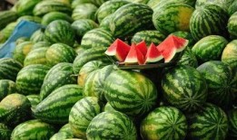 吃瓜免费分享,吃瓜免费分享，畅享美食盛宴